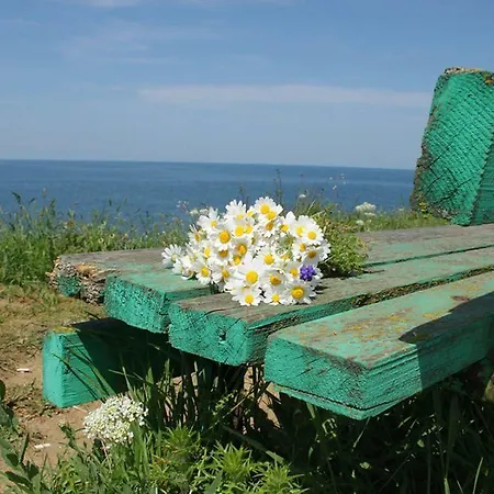 Vendégház Complex Koral