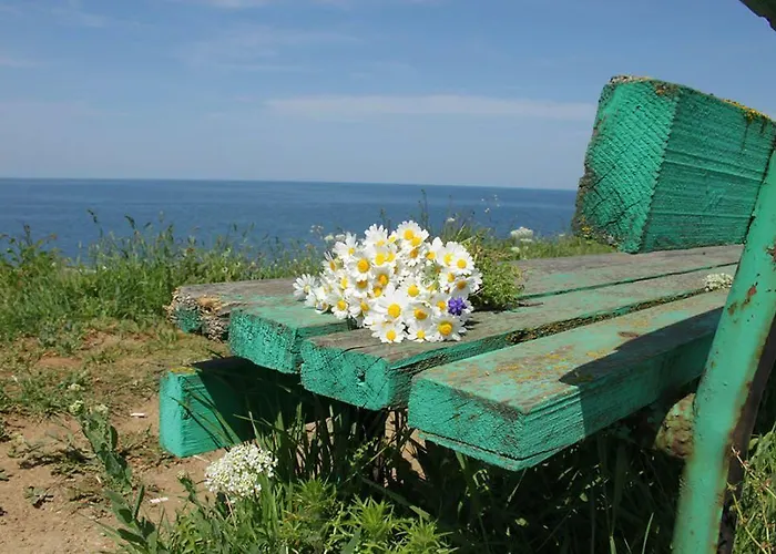 Vendégház Complex Koral